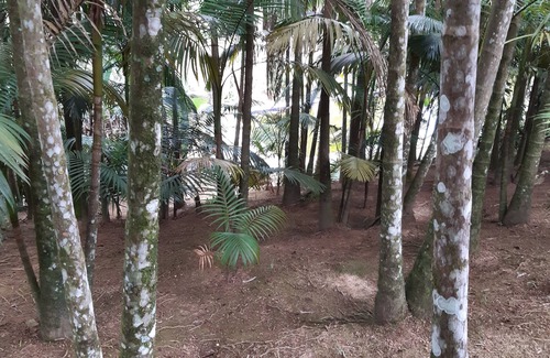 Santa Rita do Ribeira House | No Seasonal rentals