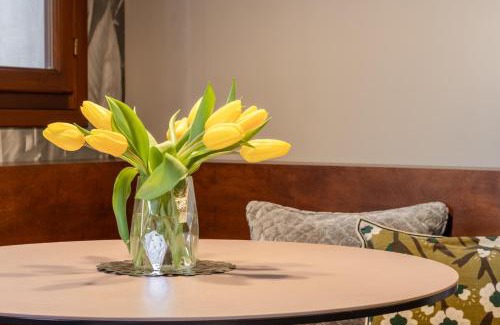 Treviso Apartment | Nobilis Apartment