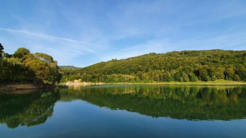 Valea Doftanei House | Noble Chalet Lake & Forest