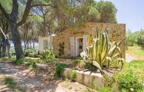 Alia House | Nocellara