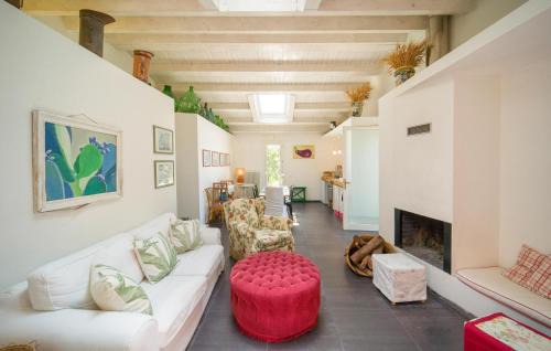 Alia House | Nocellara