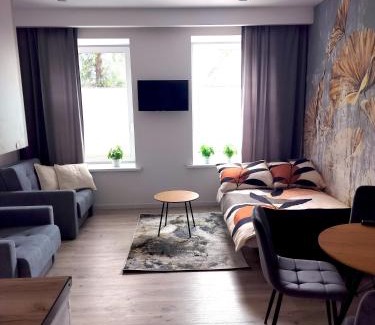 Pabianice Apartment | Noclegi Duet House Green Harmony Studio wejście na kod CENTRUM Ptak, Orientarium, Mandoria, Fala, Centrum Zdrowia Matki Polki, bezpłatny parking, klimatyzacja