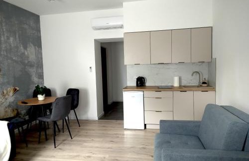 Pabianice Apartment | Noclegi Duet House Green Harmony Studio wejście na kod CENTRUM Ptak, Orientarium, Mandoria, Fala, Centrum Zdrowia Matki Polki, bezpłatny parking, klimatyzacja