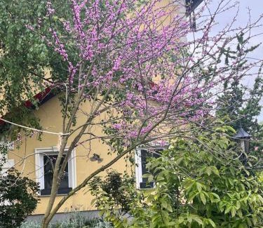 Lubusz Province House | Noclegi Pod Lasem