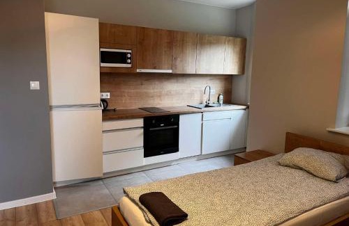 Poddebice Apartment | Noclegi Skorpion