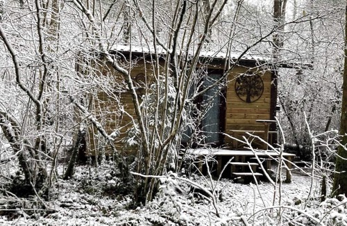 Cowbridge Cabin | Noddfa (refuge/sanctuary) off-grid woodland retreat near ediculture community