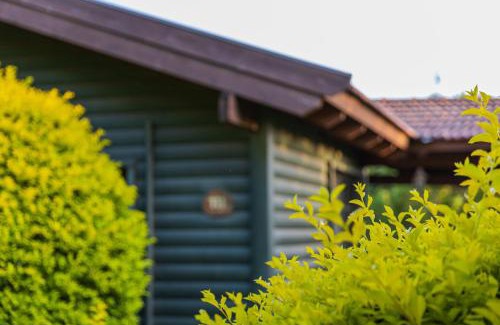 Gonen Resort | Nofey Gonen Holiday Village