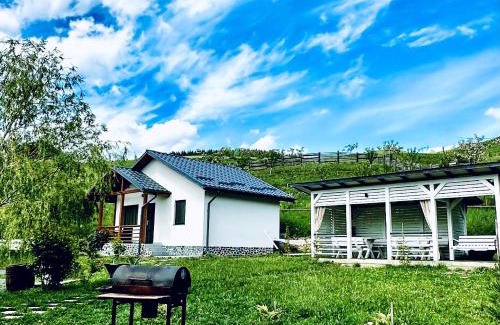 Piatra Neamt House | NOIA Caban