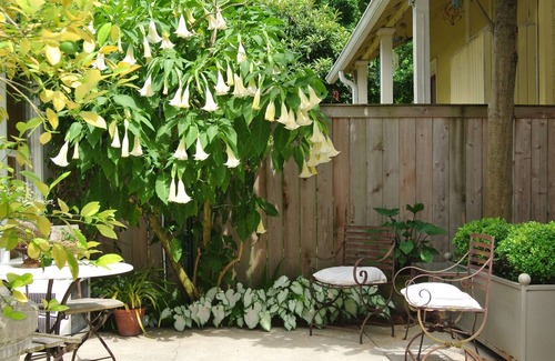 Audubon Cottage | Nola Cottage - Safe, Convenient Area/Sleeps 3/Brand New Bath/Walk To Tulane