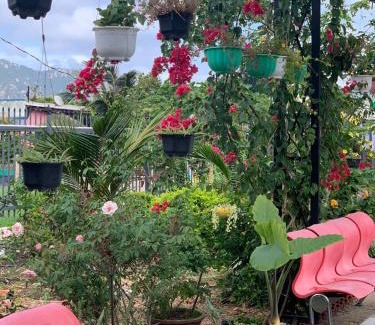 Ninh Hai House | Nomad homestay