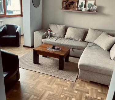 Reghin Apartment | Nomad Reghin
