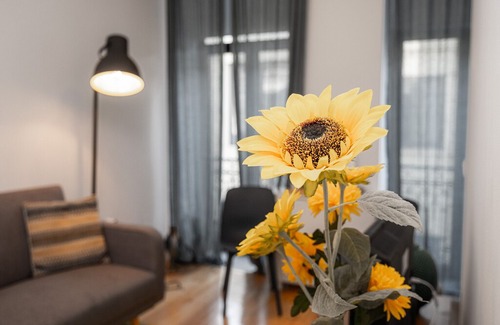 Bonfim Apartment | Nomad's Netto & Subway Balcony Street