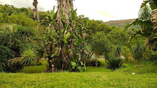 Schoemanskloof Apartment | Nomads Rest