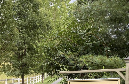 Reva House | Nonesuch : Private loft apartment attached to main house 50acres and 4acre pond