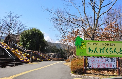 Odawara Hotel | Nonsmoking Double Room only 1 minute walk fro/Odawara Kanagawa
