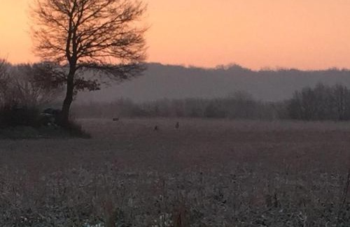 Scholderup Apartment | Nordglueck