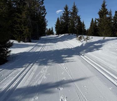 yer Ski Chalet | Nordic Gateway Logde