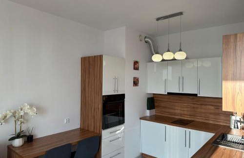 Bydgoszcz Apartment | Nordic Haven View