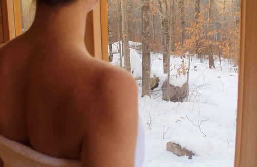 South Pond Shores Cabin | Nordic House - Glamping Cabin w Hot Tub, Sauna, Cold Plunge + Waterfront w Dock
