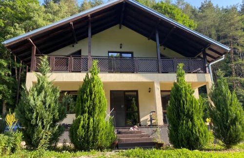Troyan House | Nordic Villa Chiflika