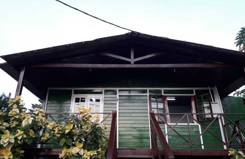 Floresta Velha Apartment | Noronha Forest House
