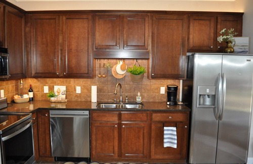 Andersonville Condo | Norris Nook-1 bedroom lakeview condo at Waterside Marina, near "The Loyston"