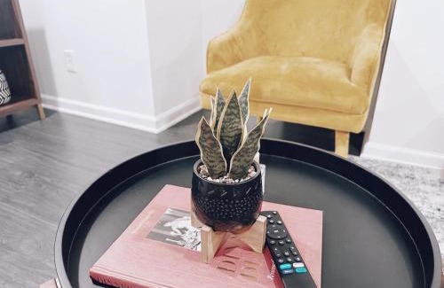 Eckington Apartment | North Capitol Charm