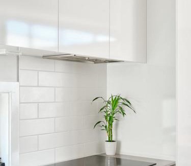 North Hobart House | North Hobart townhouse close to the action