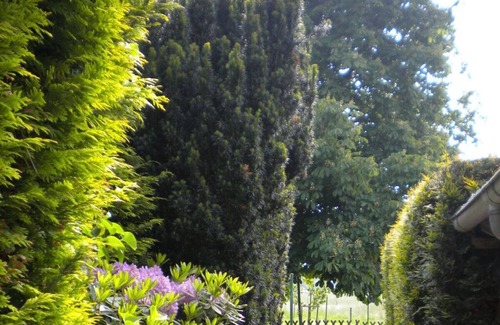 Sehestedt House | North Sea dike Modern retreat