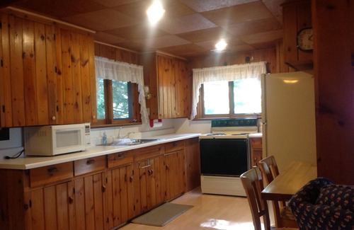 Hillman Cabin | Northeast Michigan Lake Front Cabin (Pet Friendly)