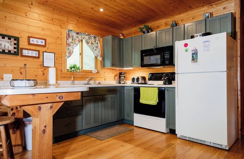 Brill Cabin | Northern Boundaries CabinnCharming 4 Season Rental Cabin at Christie Mt Ski Area