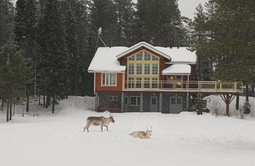 Ranua Villa | Northern Lights Lapland Villa