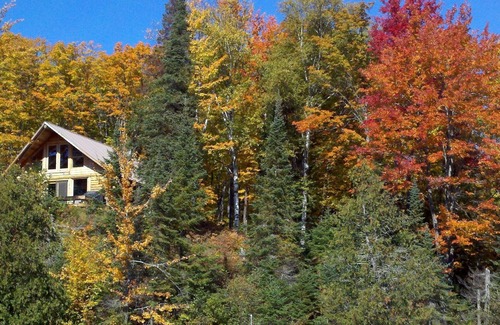 Crystal Falls Cabin | Northwoods Fishing & Hunting Getaway on Porter Lake