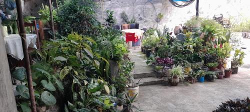Sao Lourenco dos Orgaos House | NoS Casa