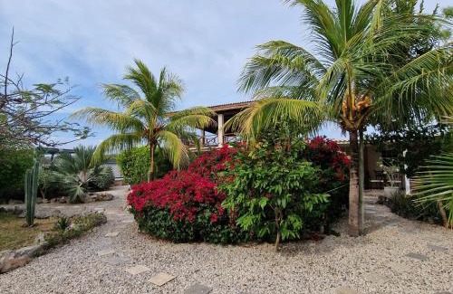Sabana Westpunt Apartment | Nos Soño Stay and Dive