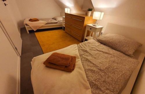 Nove Mesto nad Vahom House | Nový podkrovný byt v rodinnom dome pre 6 osôb