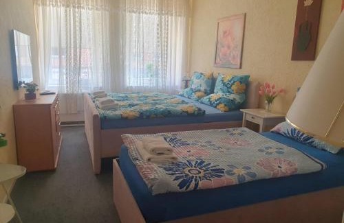 Gruenstadt House | Nova Private Rooms