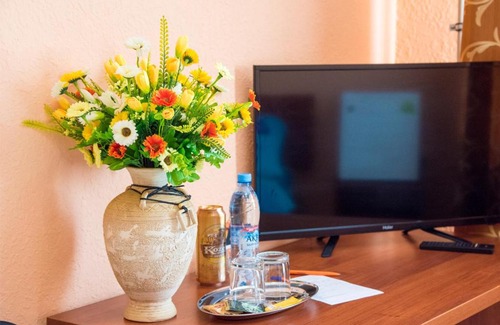 Novovoronezh Hotel | Novik