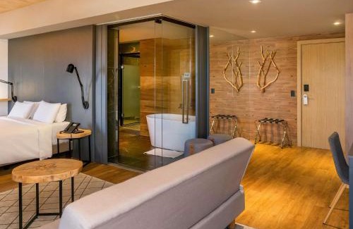 Nossa Senhora da Salete Hotel | Novotel Criciuma