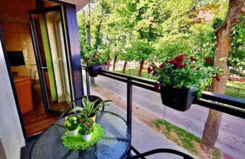 Lapalice Apartment | Nowy 2 pokojowy apartament w samym centrum Kartuz, 100m do Rynku