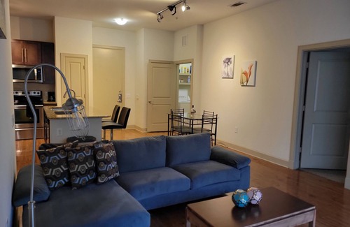 Astrodome Apartment | NRG & Medical Center, 2 bed/2bath w/Courtyard View - King Beds