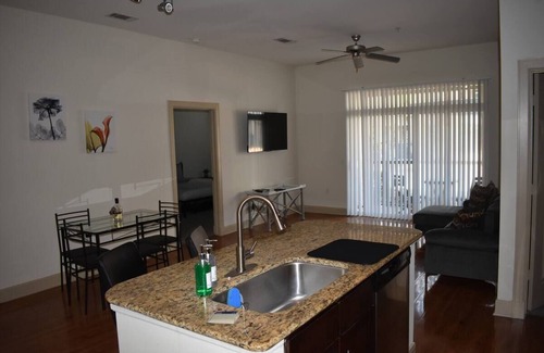 Astrodome Apartment | NRG & Medical Center, 2 bed/2bath w/Courtyard View - King Beds