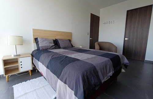 Los Alpes Apartment | NSI Apartamento Entero - Urbano Town - Sur CDMX