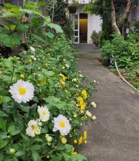 Dien Ban House | NT House