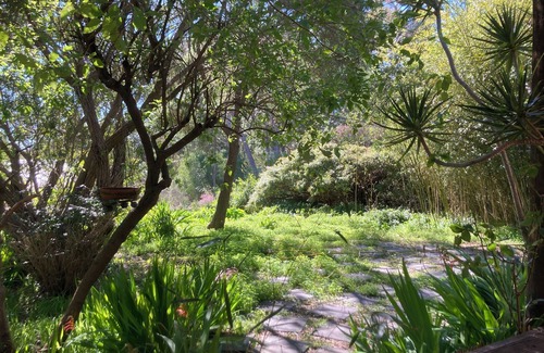 Margaret River Cottage | nThe country cottage nnClose to town. nFamily friendly and pet friendly. n