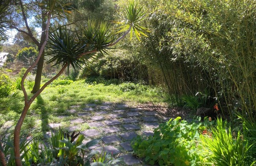 Margaret River Cottage | nThe country cottage nnClose to town. nFamily friendly and pet friendly. n
