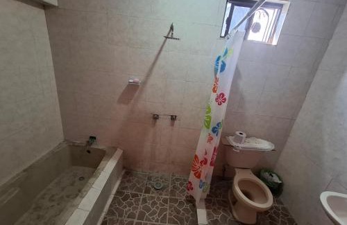 Saltillo House | Nuestra Señora de Guadalupe