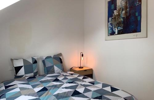 Sarreguemines Apartment | Nuit des étoiles gîte avec piscine et SPA communs