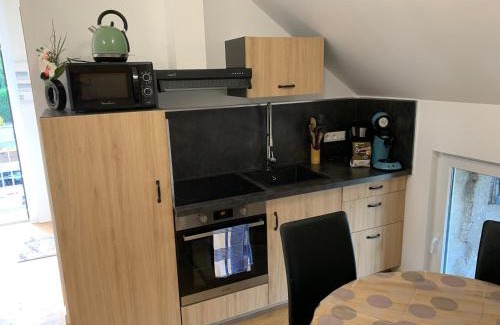 Sarreguemines Apartment | Nuit des étoiles gîte avec piscine et SPA communs
