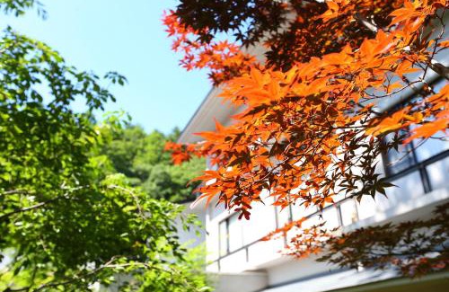 Fukushima Hotel | Nukumorino-yado Komanoyu